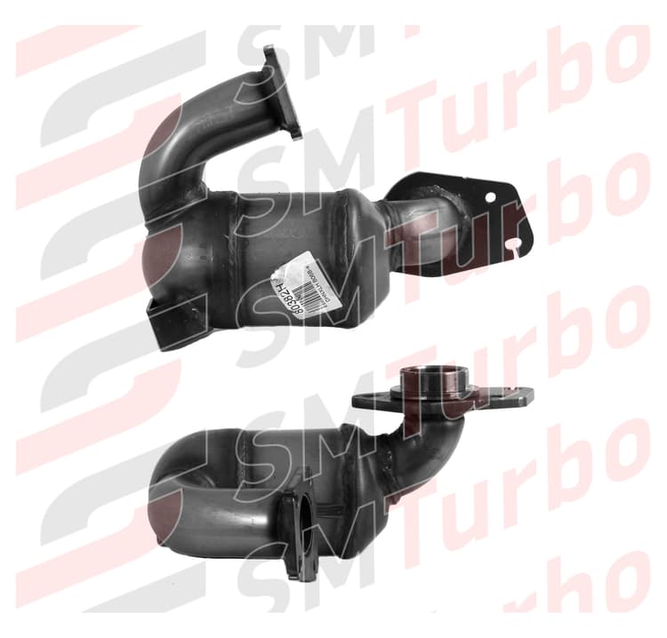 Катализатор на Renault Modus